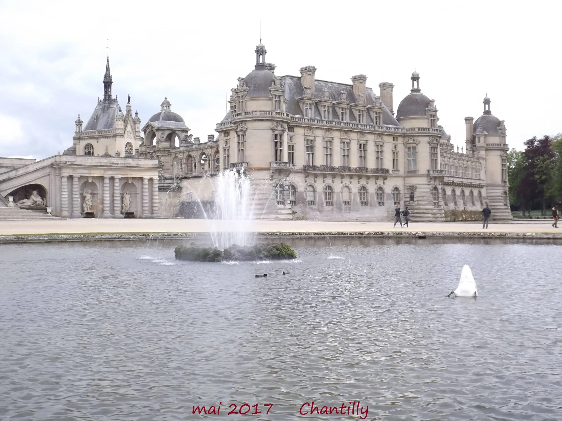Photo visites guidées